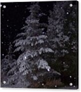 Silent Night Acrylic Print