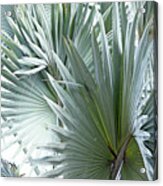 Silver Palm Leaf Abstract Acrylic Print