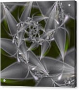 Silverleaves Acrylic Print