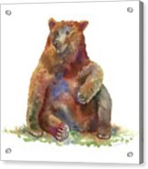 Sitting Bear Acrylic Print
