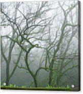 Skn 3720 Monsoon Landscape Acrylic Print