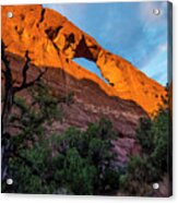 Skyline Arch At Sunset - Arches National Park - Utah Acrylic Print