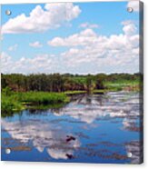 Skyscape Reflections Blue Cypress Marsh Near Vero Beach Florida C5 Acrylic Print