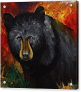Smoky Mountain Black Bear Acrylic Print