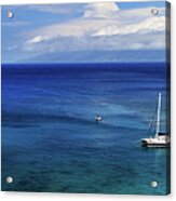 Snorkeling In Maui Acrylic Print