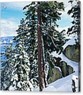 Snow Covered Trees On Mountainside Acrylic Print