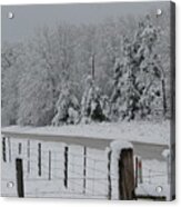 Snow Fall Acrylic Print