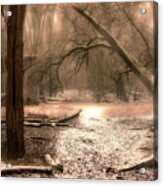 Snow In The Forest - Color Acrylic Print