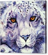Snow Leopard Acrylic Print