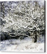 Snow Tree Acrylic Print