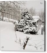 Snow Tree Acrylic Print