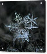 Snowflake Of 19 March 2013 Acrylic Print