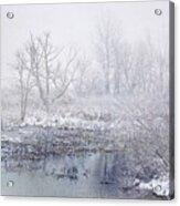 Snowmist Marsh Acrylic Print