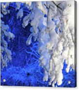 Snowy Blue Morning Acrylic Print