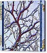 Snowy Branches Trio - Triptych Acrylic Print