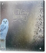 Snowy Owl Christmas Greeting Acrylic Print