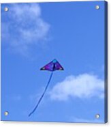 Soaring Acrylic Print