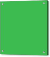 Solid Green Color Trend Tends Trending Acrylic Print