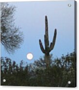 Sonoran Desert Moonset Acrylic Print