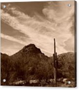 Sonoran Desert Sky Acrylic Print
