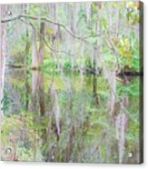 Southern Plantation Acrylic Print