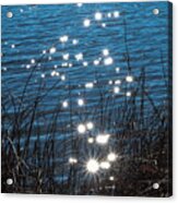 Sparkles At Riverbend Ponds Acrylic Print