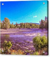 Sparkling Surprises Methow Valley Landscapes By Omashte Acrylic Print