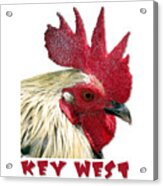 Special Edition Key West Rooster Acrylic Print