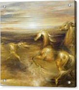 Spirit Of The Warrior Horse Acrylic Print