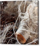 Spool Of Wool Acrylic Print