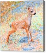 Spotted Fawn Acrylic Print