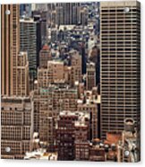 Sprawling Urban Jungle Acrylic Print