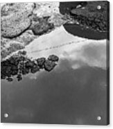 Spring Clouds Puddle Reflection Acrylic Print