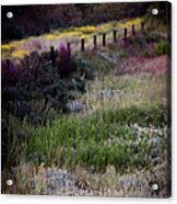 Spring Colors Acrylic Print