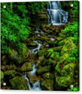Spring Green Waterfall And Rhododendron Acrylic Print