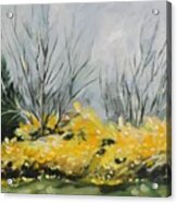 Spring Has Sprung Acrylic Print