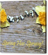 Spring Has Sprung Acrylic Print