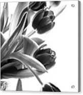 Spring In Black And White Acrylic Print