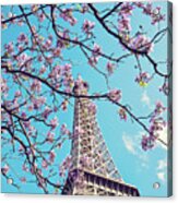 Springtime In Paris - Eiffel Tower Photograph Acrylic Print
