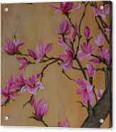 Springtime Magnolia Acrylic Print