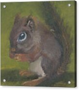 Squirrel Acrylic Print