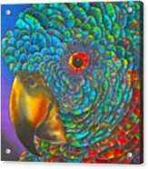 St. Lucian Parrot - Exotic Bird Acrylic Print