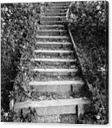 Stairway Through Foliage Acrylic Print