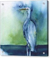 Standing Crane Acrylic Print