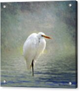 Standing Egret Acrylic Print