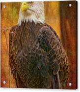 Standing Tall And Proud Acrylic Print