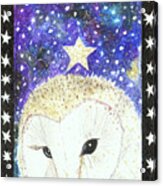 Star Of The Night Acrylic Print