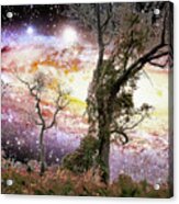 Star Spangled Forest Clearing Acrylic Print
