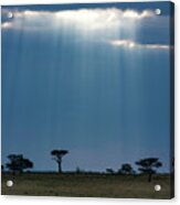 Masai Mara Sunrays Acrylic Print