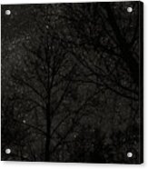 Stars And Trees Acrylic Print